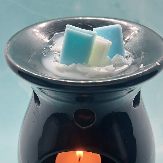 Chill in the Air Wax Melts